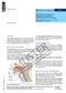Endolaryngeale Kehlkopf(rachen)-/Stimmband-Teilresektion