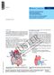 Aortenisthmusstenose/PDA-Verschluss